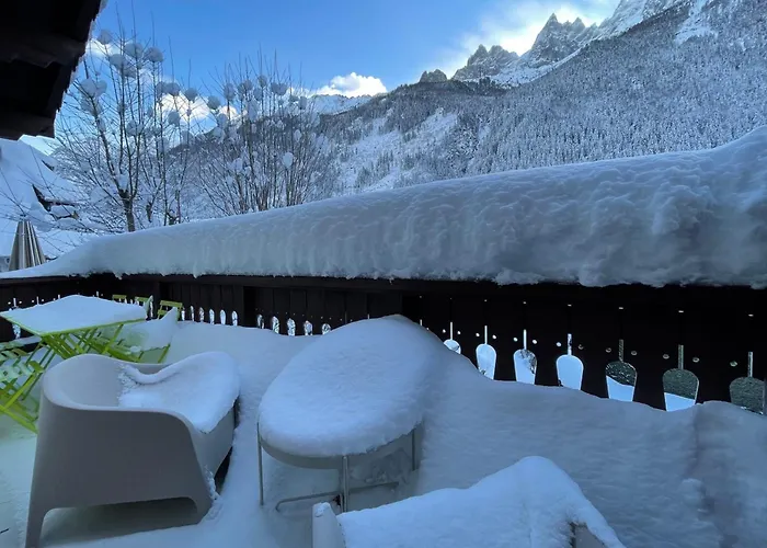 Apartman In The Heart Of Duplex View Mont-blanc *